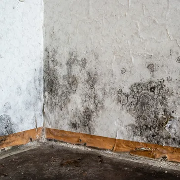 hero-02 rsw-365h-365cg-true-3