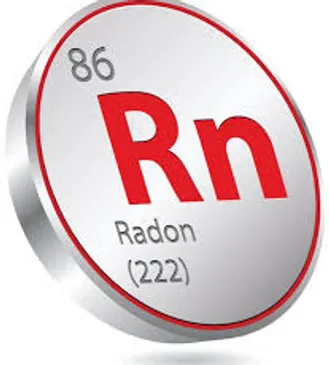 services-02 rsw-365h-365cg-true